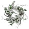 Northlight Iced White Poinsettia Artificial Christmas Wreath - 22 inch, Unlit